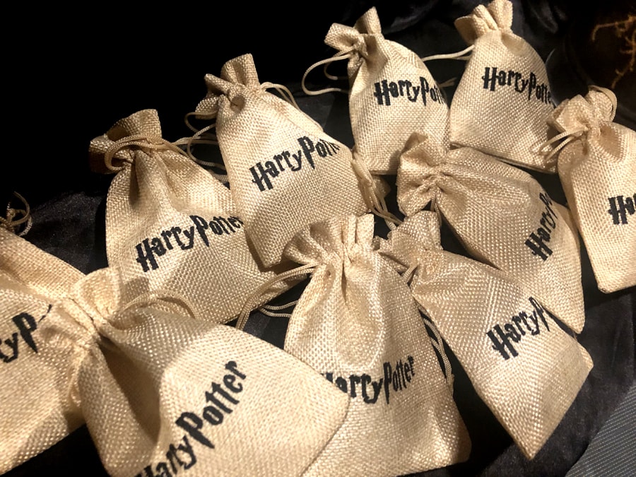 Anniversaire Harry Potter Monaco - organisation et salles